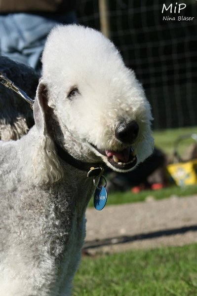 2010-10-03 Coursing-Training GE (3).jpg